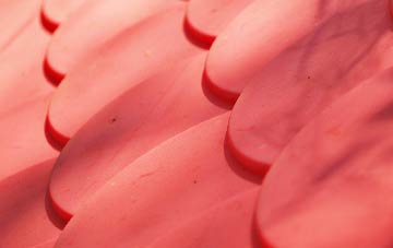 Thistleton plastic roof costs