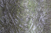 Thistleton fibreglass roof work